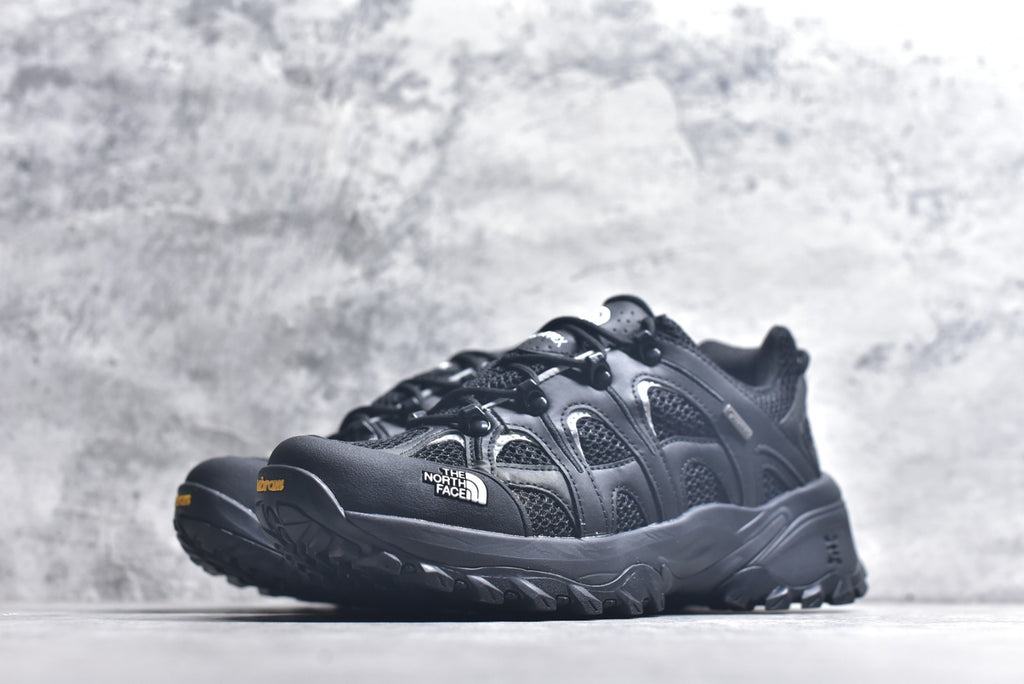 The North Face Hedgehog Low-Top Hiking Shoe NF0A8ADUKY4